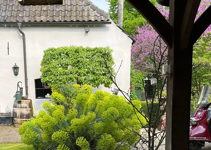 Ann's De Heiligenberg クアイク