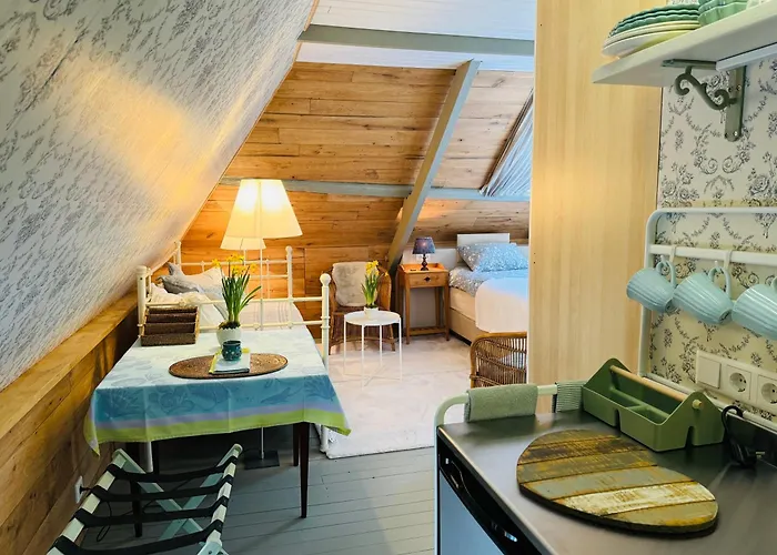 Ann's De Heiligenberg 3*